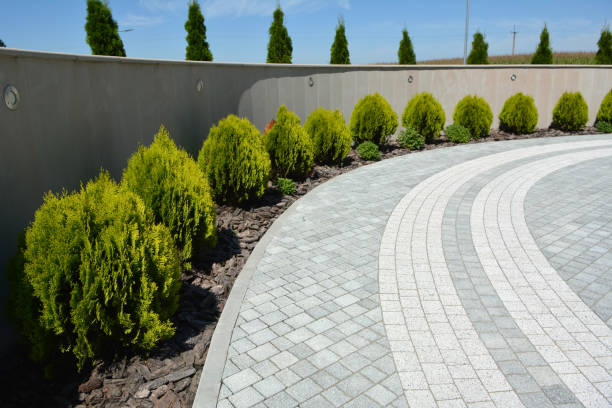 Reasons to Select Us for Your Driveway Paving Requirements in Hampton, GA